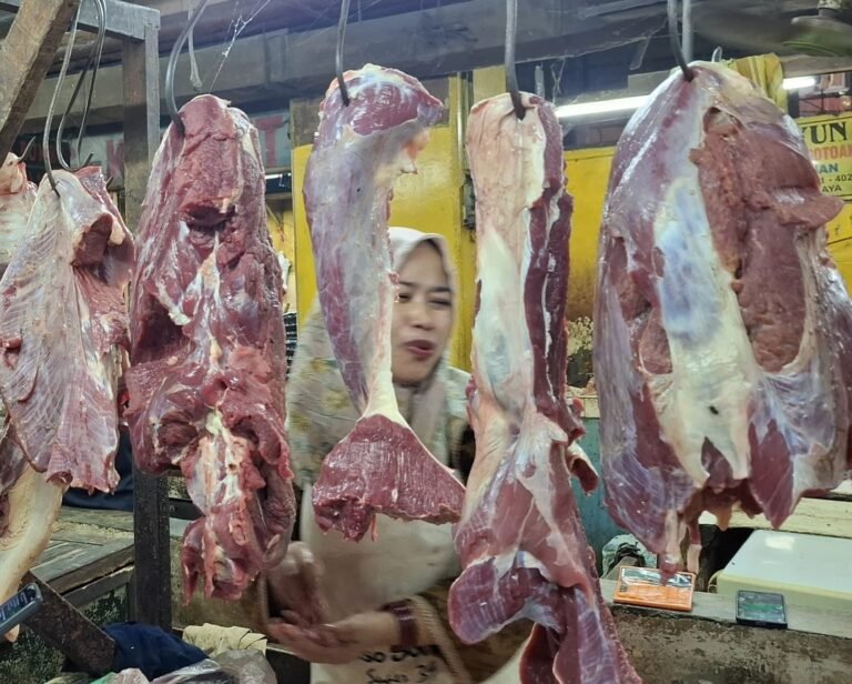 Waspada Daging Gelonggongan, Masyarakat Diminta Cermat Beli Daging Sapi