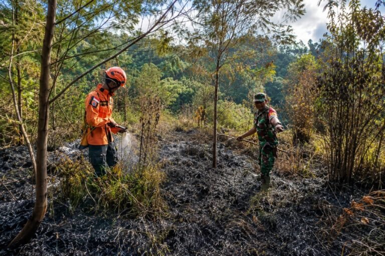 Karhutla Bukit Sentong Lumajang Terkendali, Tim Gabungan Lakukan Pendinginan