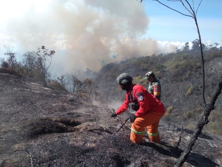 Karhutla Lereng Semeru Capai Lebih dari 600 Hektare, Petugas Perkuat Pengendalian Api