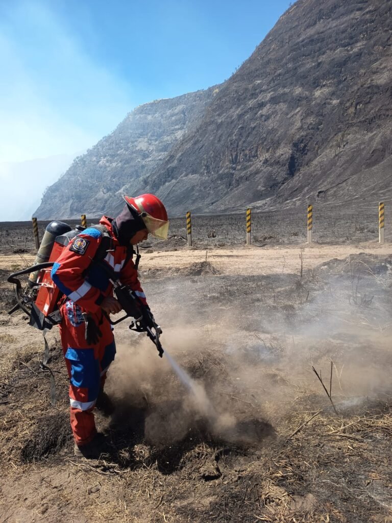 Bantu Padamkan Karhutla Bromo, Damkar Surabaya Kerahkan Tim Rescue dan Dua Armada