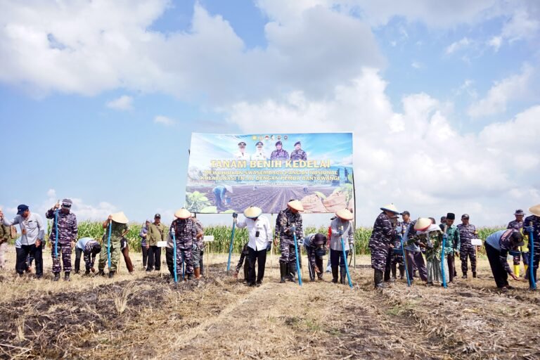 TNI AL dan Pemkab Banyuwangi Kelola 1.200 Hektare Lahan untuk Dukung Produksi Kedelai Nasional