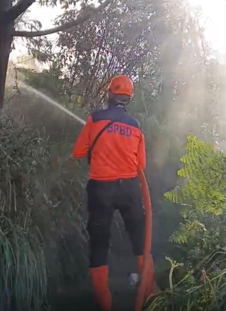 Kawah Ijen Ditutup Sementara karena Kebakaran Hutan 