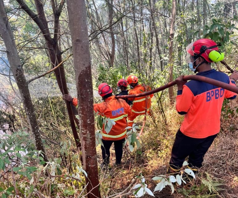 Water Bombing Terkendala Angin Kencang, Penanganan Karhutla Gunung Bromo Optimalkan Jalur Darat