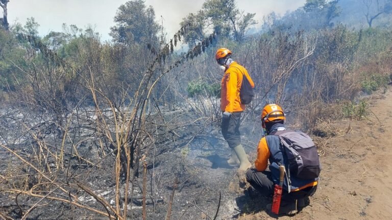 Titik Api Baru Muncul di Lereng Semeru, Warga Ranupane Diminta Waspada