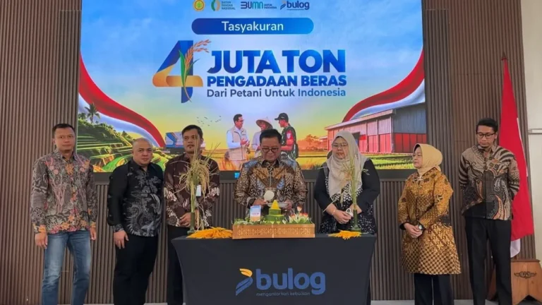 BULOG Lampaui Target Pengadaan 4 Juta Ton, Pecahkan Rekor Sejak 2012