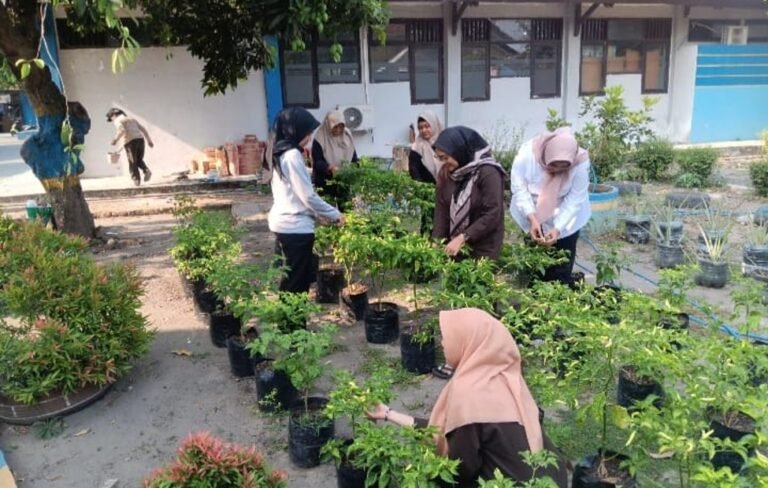 Manfaatkan Lahan Kantor, UPT PSBR Jombang Panen Cabai Rawit Hasil Budidaya Pegawai