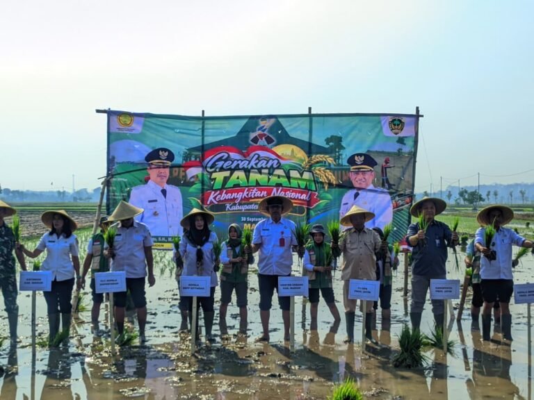 Perkuat Ketahanan Pangan, Pemkab Madiun Gelar Gerakan Tanam Padi di Wonoasri
